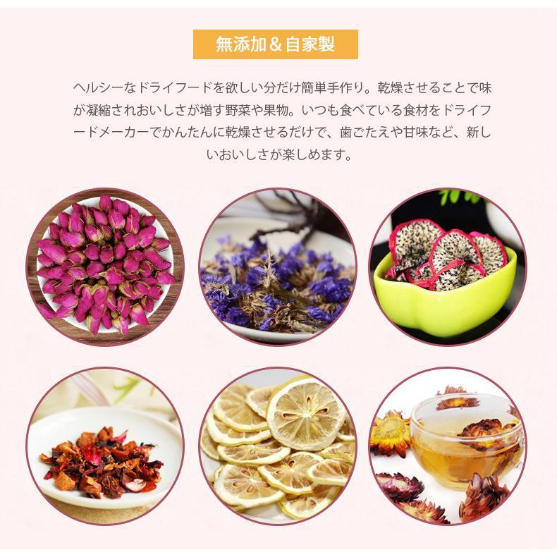 乾燥器 食品 ドライフードメーカー レシピ付き 新型 ドライフルーツ