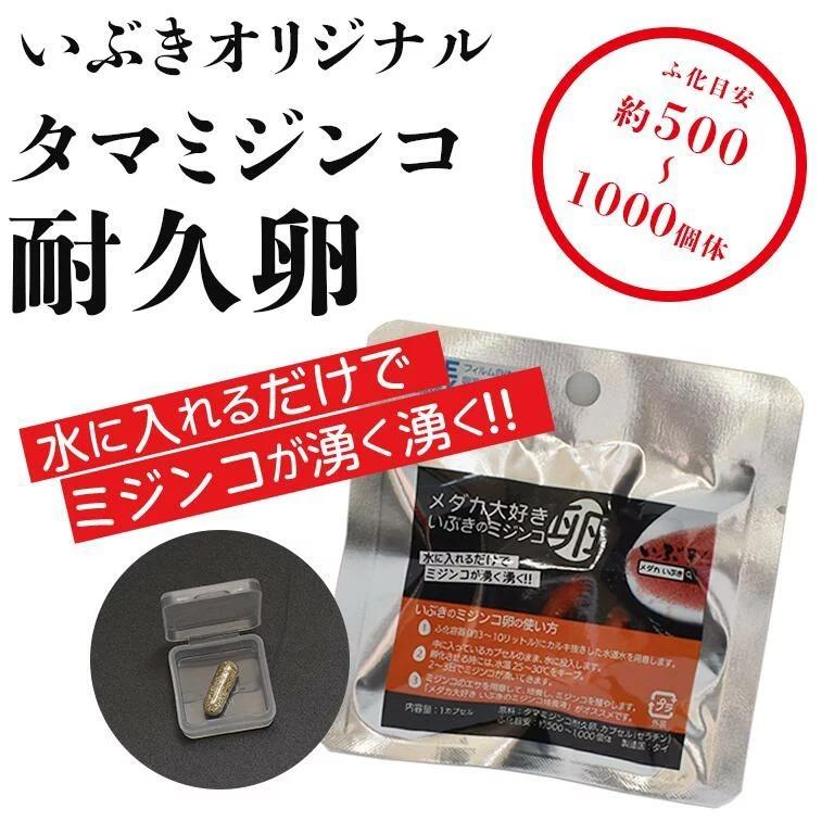 メダカ大好きいぶきのミジンコ卵 タマミジンコ耐久卵 メダカ エサ 餌 販売 生き餌 生体 Gds 1100 0004 Nrml Nrml いぶき 指宿メダカとミジンコの販売店 通販 Yahoo ショッピング