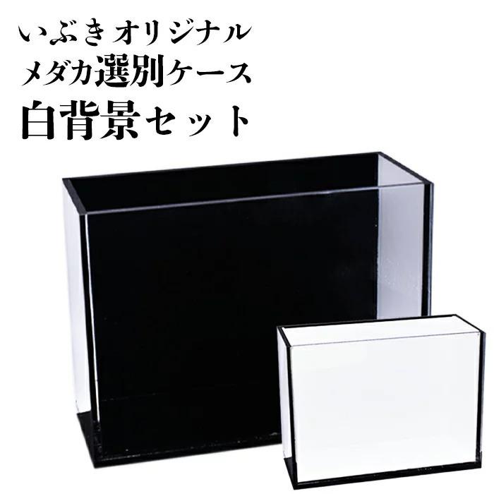 オリジナルメダカ選別ケース【白背景セット】 : いぶき 指宿メダカと 
