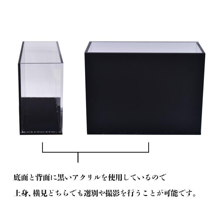 オリジナルメダカ選別ケース【白背景セット】 : いぶき 指宿メダカと 