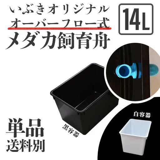 単品・送料別】オーバーフロー式メダカ舟 黒容器 白容器 14L 単品 水槽