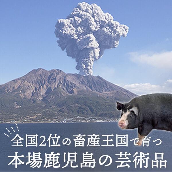 ギフト 肉 豚肉 黒豚 ＜とんかつ用 ロース カット 100g×5枚＞ 鹿児島｜ibusukiya｜05