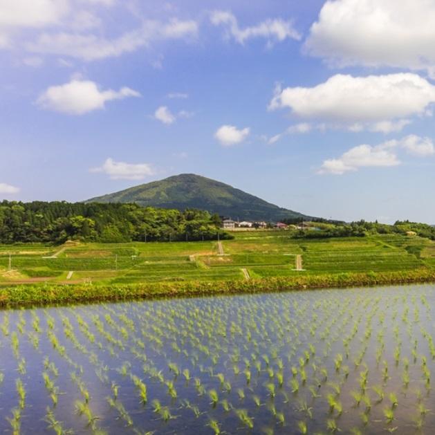 【2025.1.下旬精米】吉備高原の理想郷米　こしひかり 5kg ×3袋 Amazon.co.jp: 新米 令和7年産 鹿児島産 コシヒカリ 5kg