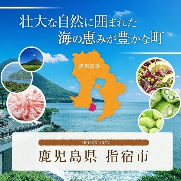 超歓迎 父の日 22 グルメ ギフト プレゼント さつま揚げ 芋焼酎 天翔宙 7ml 送料無料 小田口屋 Materialworldblog Com