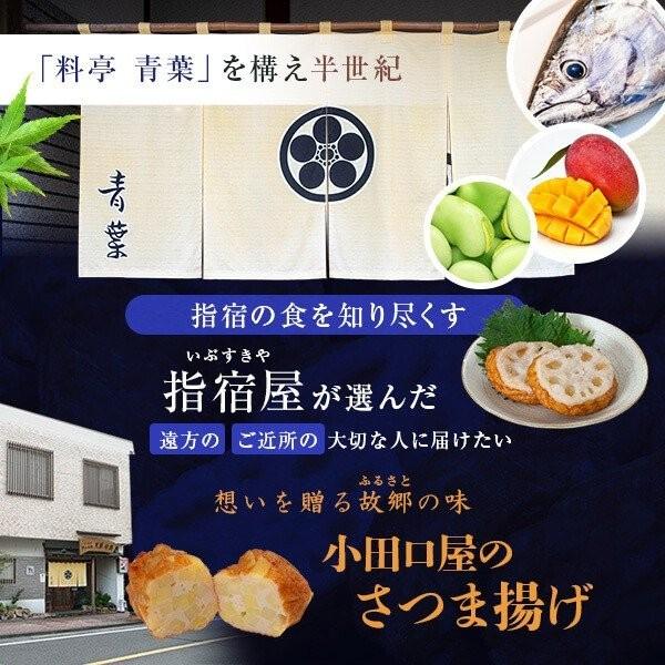 御年賀 ギフト さつま揚げ 小稚児 こちご 鹿児島 つけあげ さつまあげ 薩摩揚げ 小田口屋 グルメ プレゼント 送料無料 Atc 0 岡村商店 指宿屋 ヤフー店 通販 Yahoo ショッピング