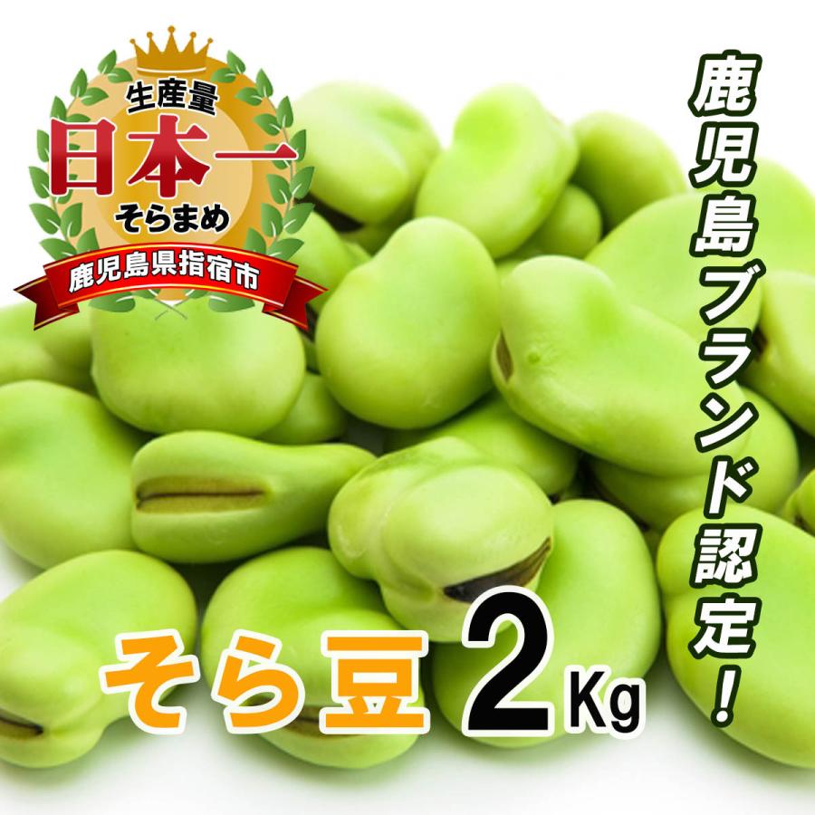 産直 鹿児島県 指宿産そら豆 5kg皮つき 楽天市場】指宿 そら豆の通販