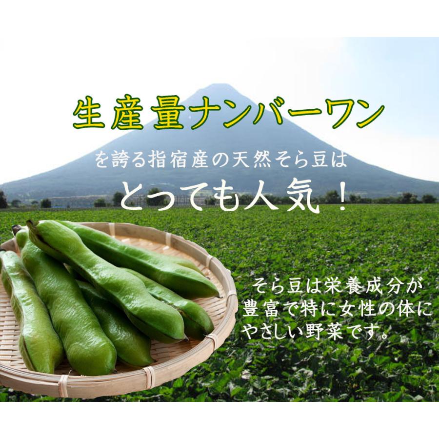 産直 鹿児島県 指宿産そら豆　5kg皮つき 産直 鹿児島県 指宿産そら豆 5kg皮つき 楽天市場】指宿 そら豆の通販