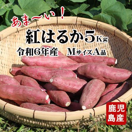 5本セット　芋神　隼人の芋神　さつまいも さつまいも さつま芋 薩摩芋 焼き芋 いも いもジェンヌ 新潟県産
