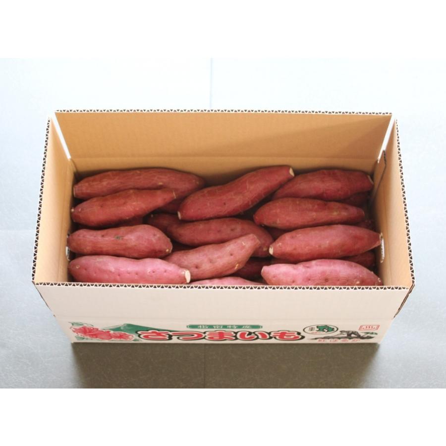 さつまいも 鹿児島 紅はるか 令和6年産 5kg べにはるか 蜜芋