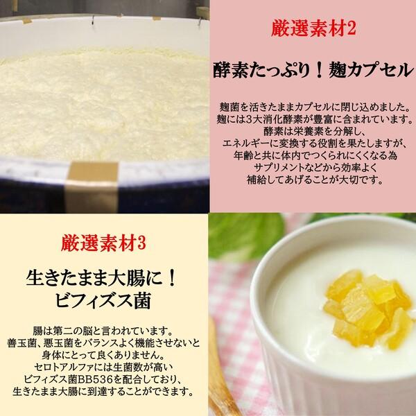 アイシー製薬 麹 サプリ 酵素 セロトニン マルチビタミン 女性