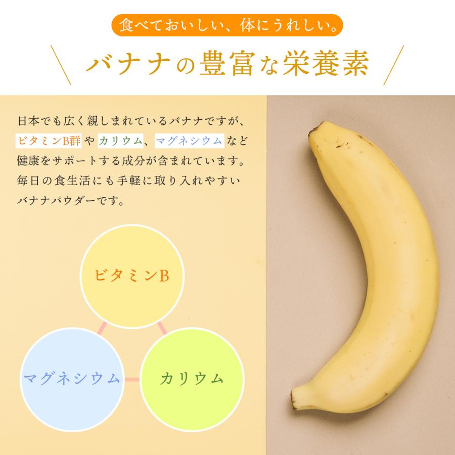 バナナパウダー 100g バナナ 粉末 スプレードライパウダー 南米産 バナナピューレ 2倍濃縮 キャベンディッシュ ヨーグルト ジュース お菓子作り 材料 ビタミンB |  | 04