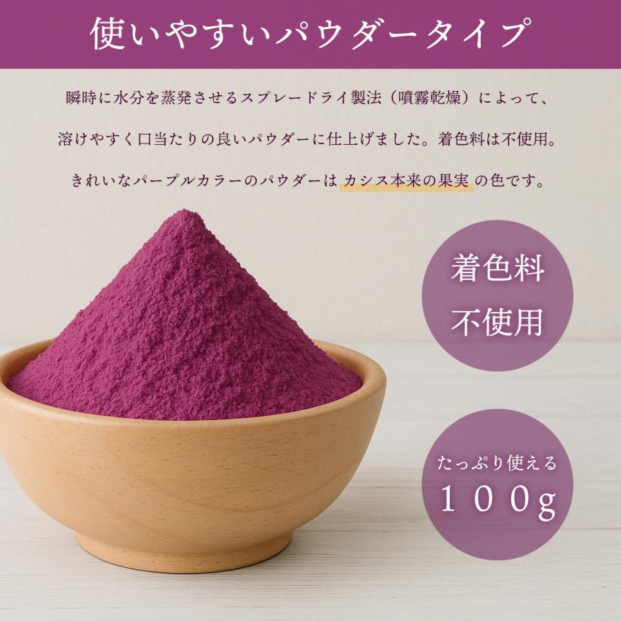 カシスパウダー 100g ポーランド産 カシス 粉末 スプレードライパウダー 果汁 ヨーグルト スムージー ジュース お菓子作り 材料 アントシアニン ビタミン |  | 01