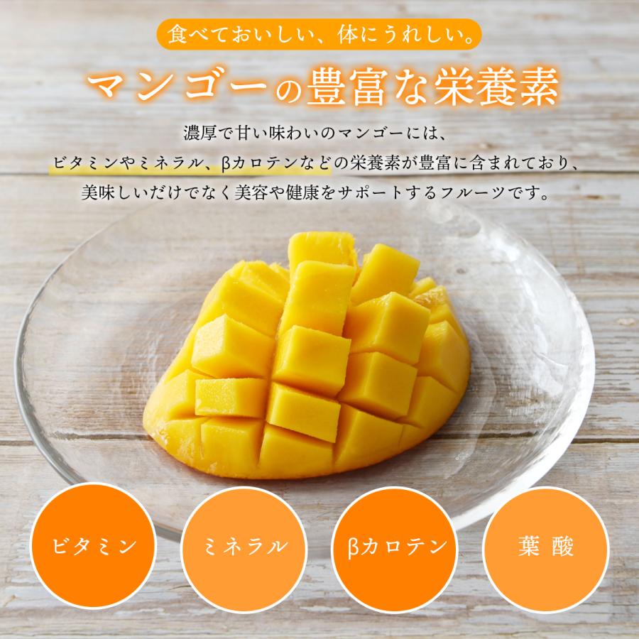 アルフォンソ マンゴーパウダー 100g マンゴー粉末 スプレードライパウダー インド産 果汁 ピューレ ヨーグルト スムージー ジュース お菓子作り 材料 ビタミン |  | 03