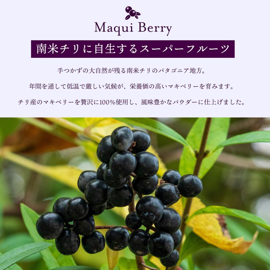 オーガニック マキベリーパウダー 100g チリ産 有機マキベリー 粉末