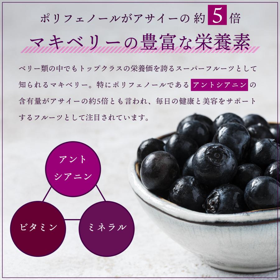 オーガニック マキベリーパウダー 100g チリ産 有機マキベリー 粉末