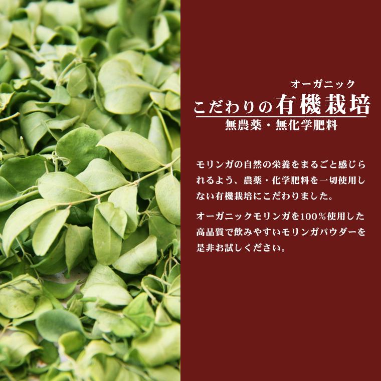 オーガニック モリンガパウダー 100g 有機JAS認証 モリンガ葉 粉末