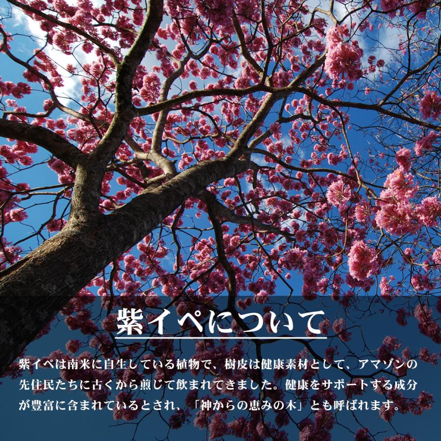 紫イペパウダー 100g 紫イペ100% 粉末 ブラジル産 タヒボ粉末 南米 健康食品 タヒボパウダー パウダルコバーク 紫イペ茶 タヒボ茶 |  | 01