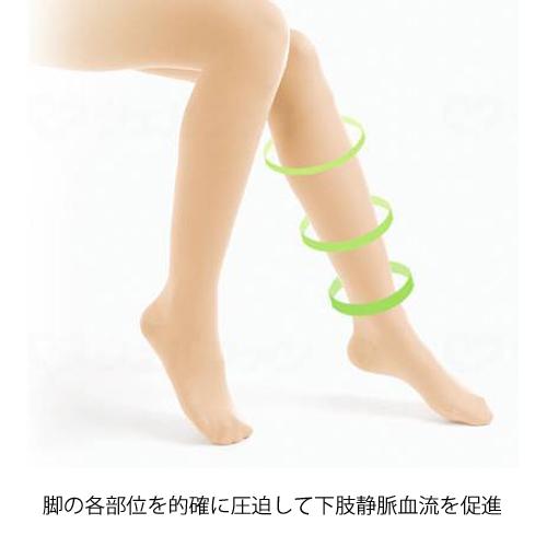 ALCARE（アルケア） アンシルク・2 ハイソックス（つま先あり）Lサイズ