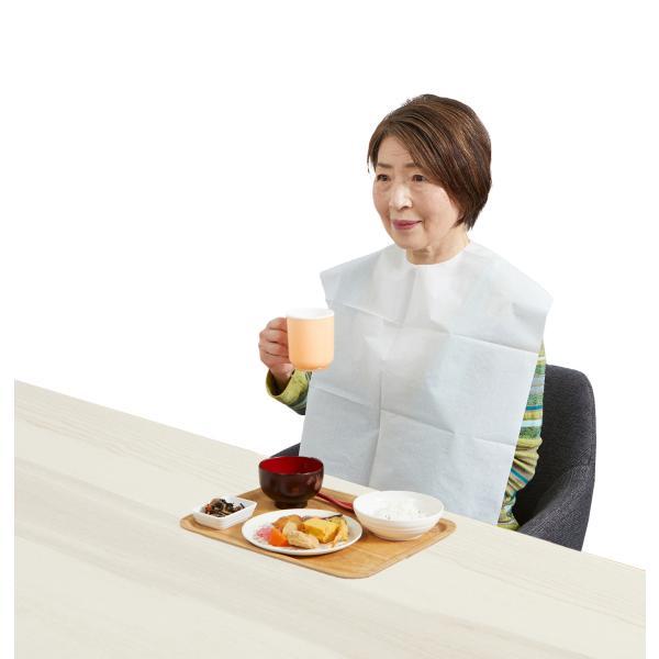 竹虎 （ケース販売）やわらか紙エプロン 10枚入×60袋（竹虎）076374