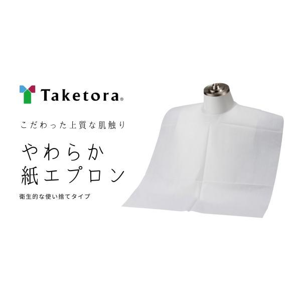 竹虎 （ケース販売）やわらか紙エプロン 10枚入×60袋（竹虎）076374