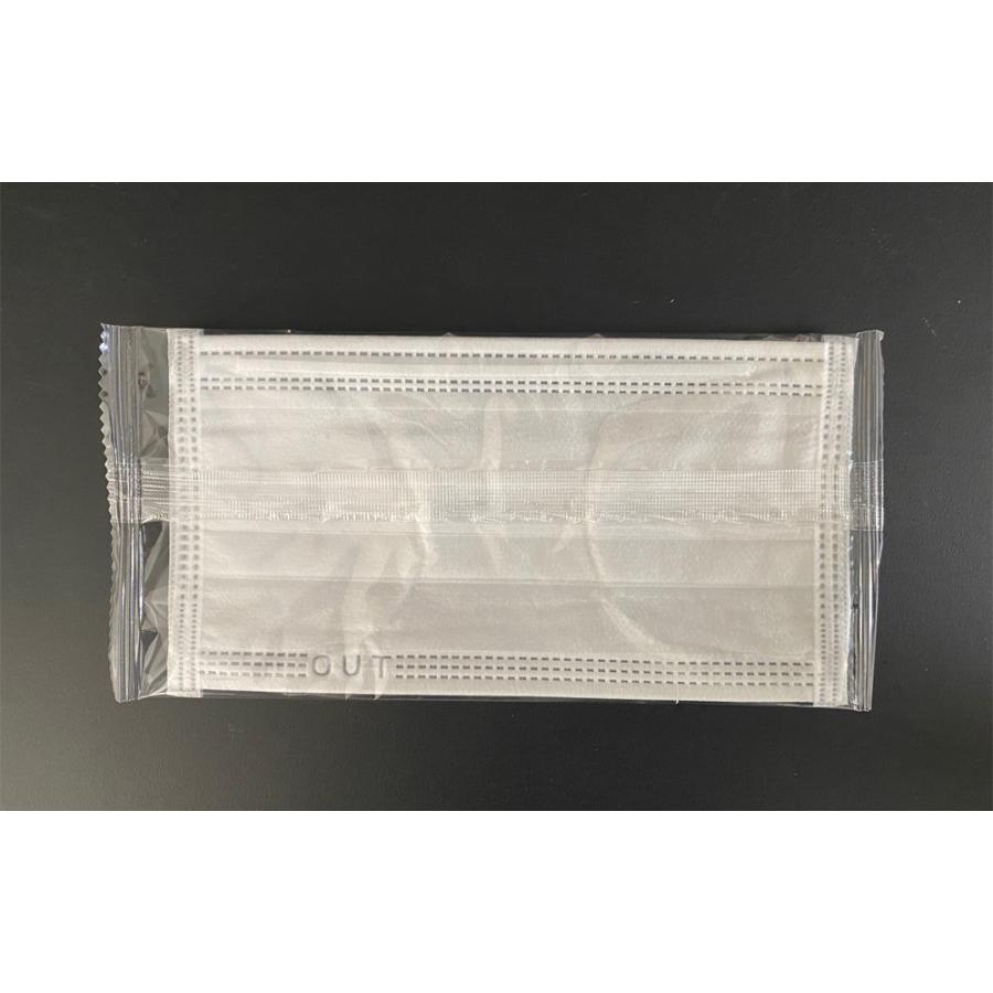 （ケース販売）1パックマスク ホワイト（個包装）／50パック×40箱（ファーストレイト ）FR-196