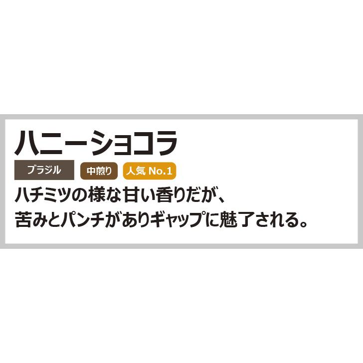 【2袋まで同一送料】自家焙煎珈琲 ブラピ ハニーショコラ 200g ブラジル 中煎り コーヒー豆｜iccg｜02