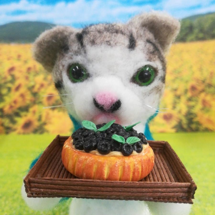 羊毛フェルトマスコット シマネコとブルーベリーのタルト K Zakka K Smiley Drops 通販 Yahoo ショッピング