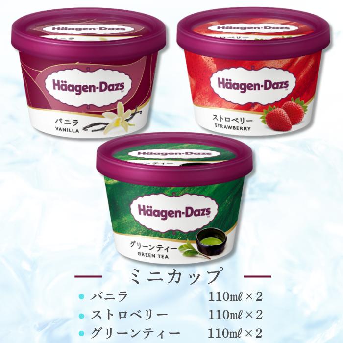 ハーゲンダッツ（Haagen-Dazs） （送料込）(ラッピング付