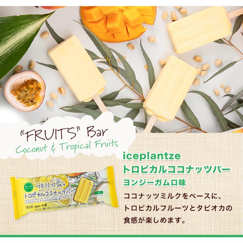 アイス iceplantze5種ギフトセット2025【送料無料】【化粧箱