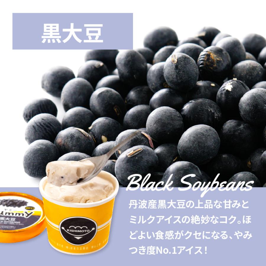 業務用 アイスクリームのきしもと 黒豆アイスクリーム Yummy ヤミー 黒