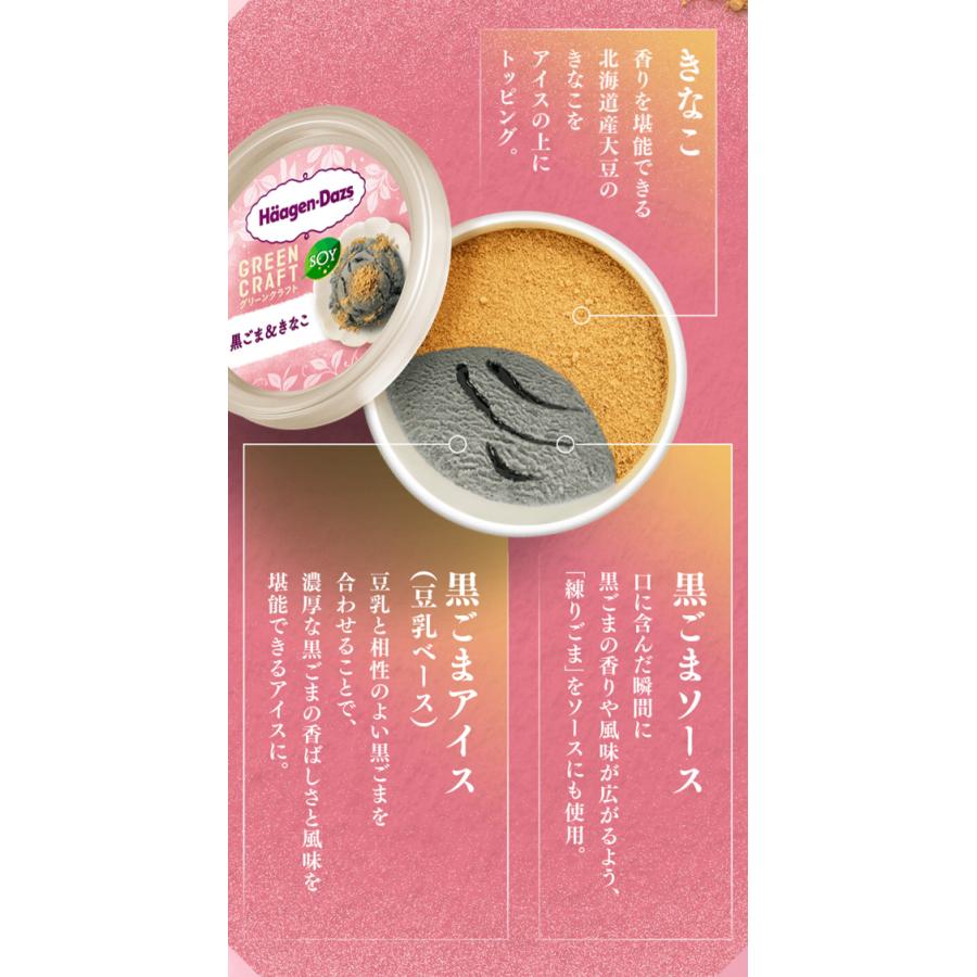 【6袋set】❣️新品未開封❣️炭クレンズ生酵素★ゲリラバーゲンSALE★ ハーゲンダッツ（Haagen-Dazs） 御歳暮 敬老の日 2026 アイス ギフト