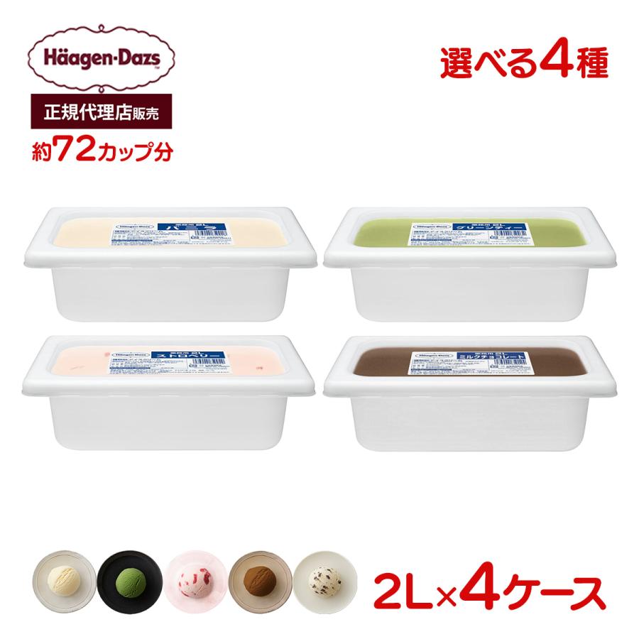 ハーゲンダッツ（Haagen-Dazs） 正規代理店 業務用 選べる 4個セット