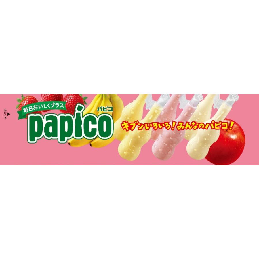 パピコ グリコ 毎日おいしくプラス 45ml×10本×8入 : アイスクリームの