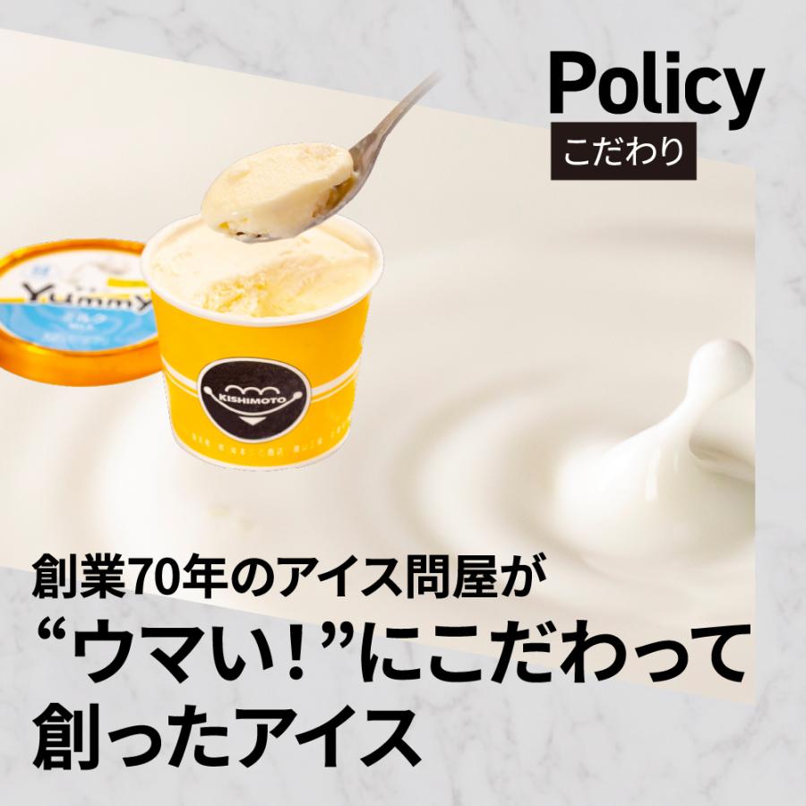 御歳暮 敬老の日 2026 アイス ギフト対応 アイスクリームのきしもと