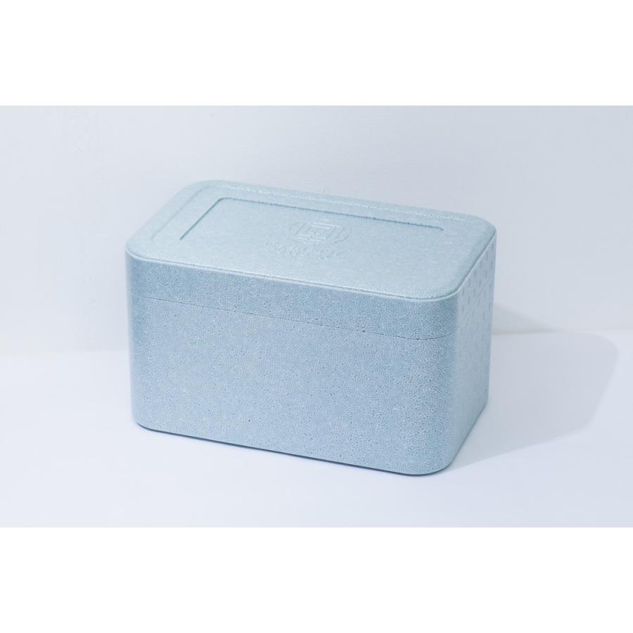 クーラーボックス ワクチン輸送 アイスエナジープチBOX 長時間保冷 | ブランド登録なし