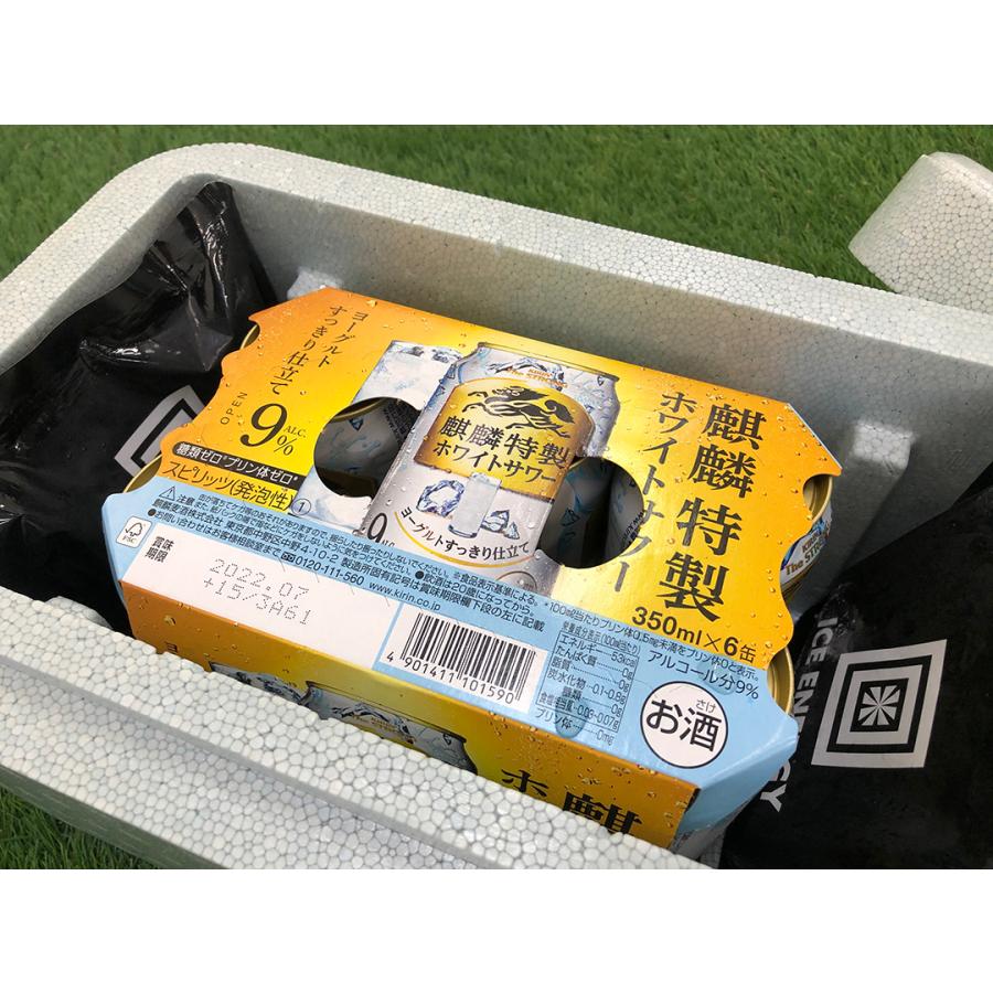クーラーボックス ワクチン輸送 アイスエナジープチBOX 長時間保冷 | ブランド登録なし | 01