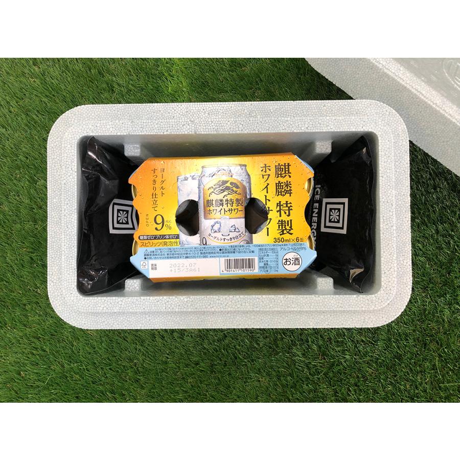 クーラーボックス ワクチン輸送 アイスエナジープチBOX 長時間保冷 | ブランド登録なし | 02