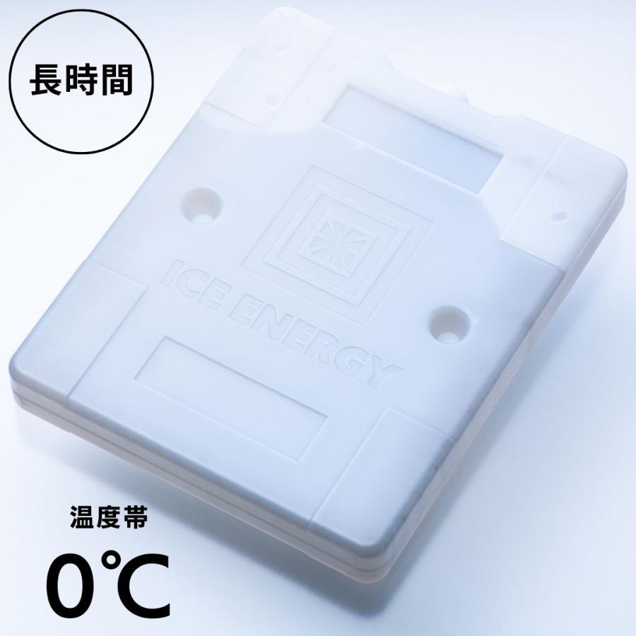 保冷剤 長時間  アイスエナジー ハードケース 1kg＜0℃＞超ロング 1個  レジャー アウトドア BBQ キャンプ 日本製 | ブランド登録なし
