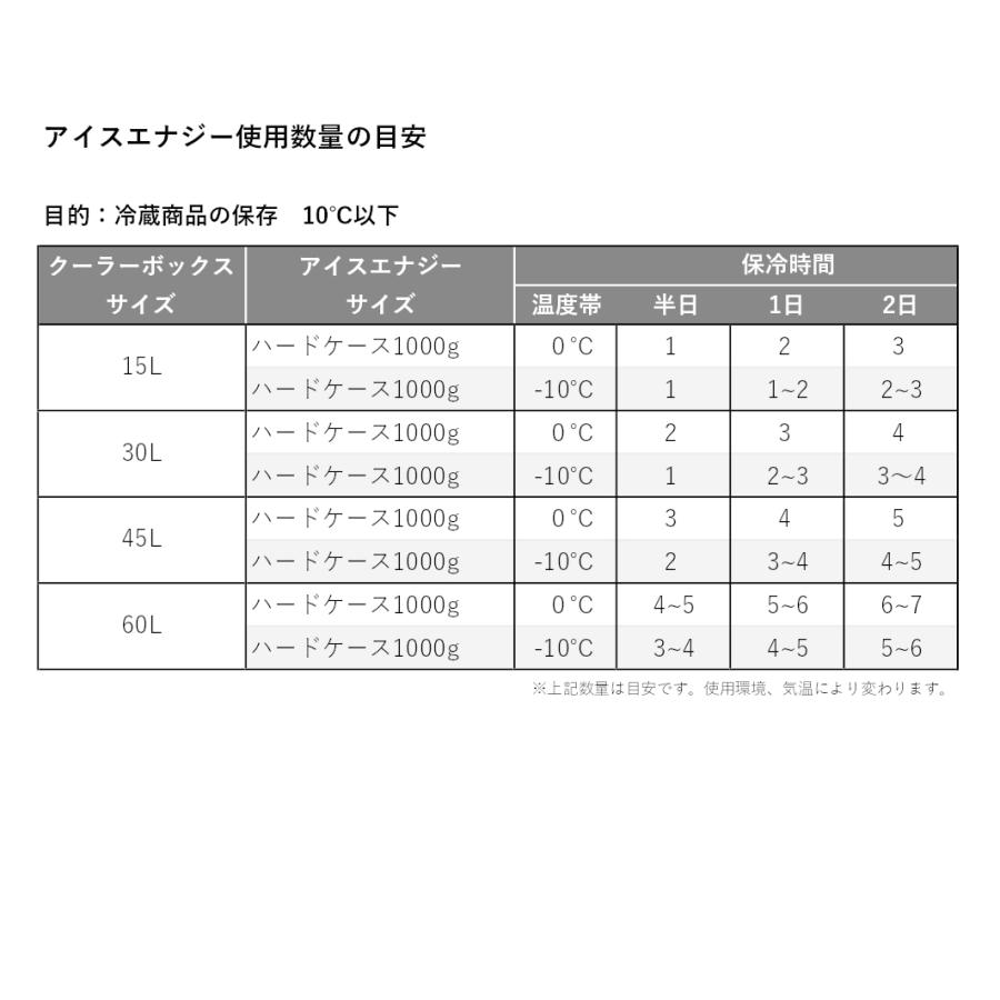 保冷剤 長時間  アイスエナジー ハードケース 1kg＜-10℃＞1個  レジャー アウトドア BBQ キャンプ 日本製 | ブランド登録なし | 05