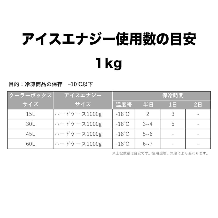 保冷剤 長時間  アイスエナジー ハードケース 1kg＜-18℃＞1個  冷凍配送 レジャー アウトドア BBQ キャンプ 日本製 | ブランド登録なし | 04