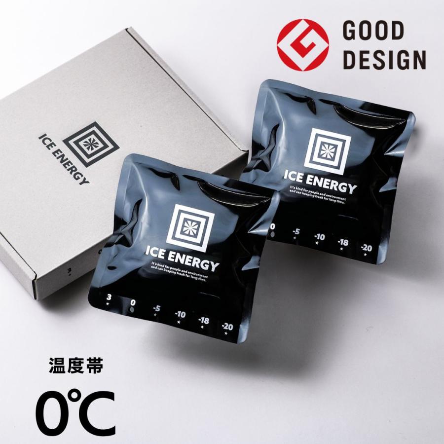 保冷剤 長時間  アイスエナジー アルミソフトケース 300g＜0℃＞2個セット スーパーロング  グッドデザイン賞 レジャー アウトドア BBQ キャンプ 日本製 | ブランド登録なし