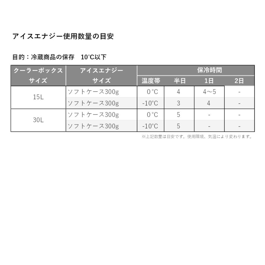 保冷剤 長時間  アイスエナジー アルミソフトケース 300g＜0℃＞2個セット スーパーロング  グッドデザイン賞 レジャー アウトドア BBQ キャンプ 日本製 | ブランド登録なし | 04