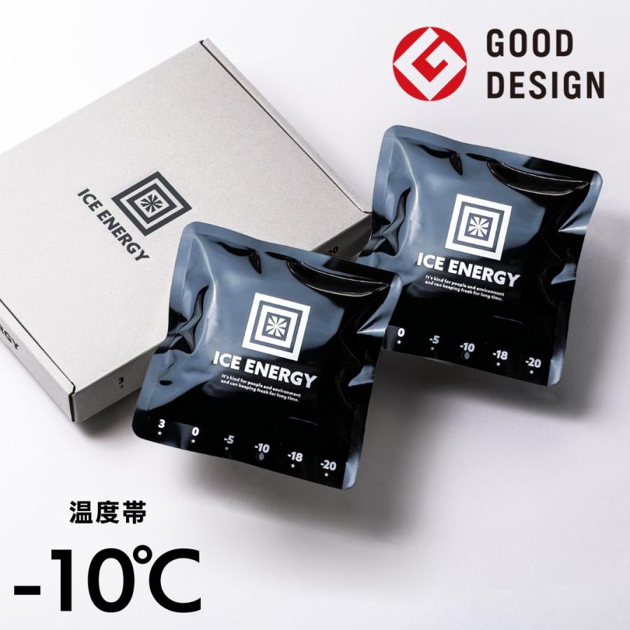 保冷剤 長時間 アイスエナジー アルミソフトケース 300g＜-10℃＞2個 