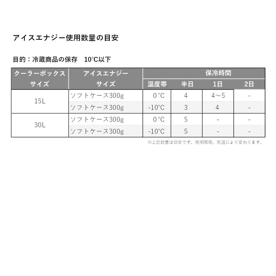 保冷剤 長時間  アイスエナジー アルミソフトケース 300g＜-10℃＞2個セット ソフトケース グッドデザイン賞 レジャー アウトドア BBQ キャンプ 日本製 | ブランド登録なし | 04