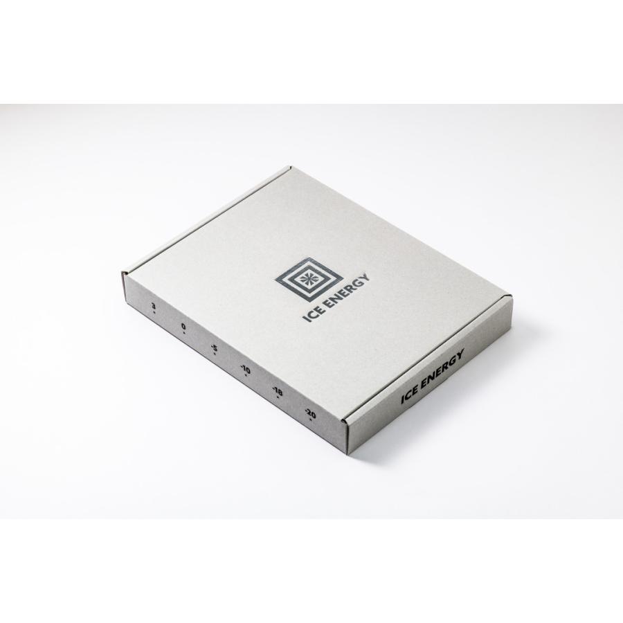 保冷剤 長時間  アイスエナジー アルミソフトケース 300g＜-10℃＞2個セット ソフトケース グッドデザイン賞 レジャー アウトドア BBQ キャンプ 日本製 | ブランド登録なし | 05