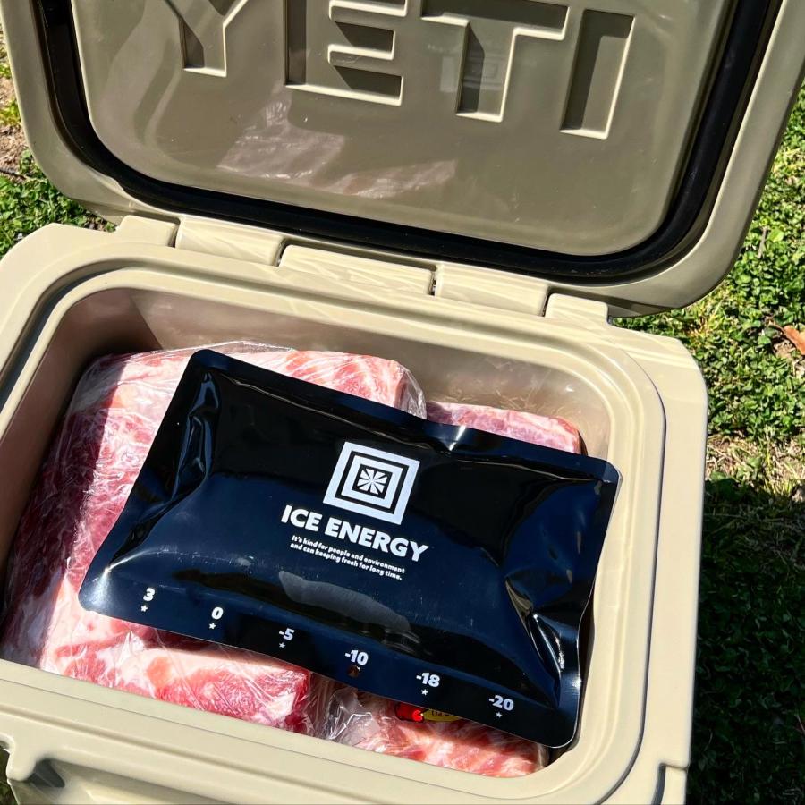 保冷剤 長時間  アイスエナジー アルミソフトケース 500g＜-10℃＞グッドデザイン賞 レジャー アウトドア BBQ キャンプ 日本製 | ブランド登録なし | 01