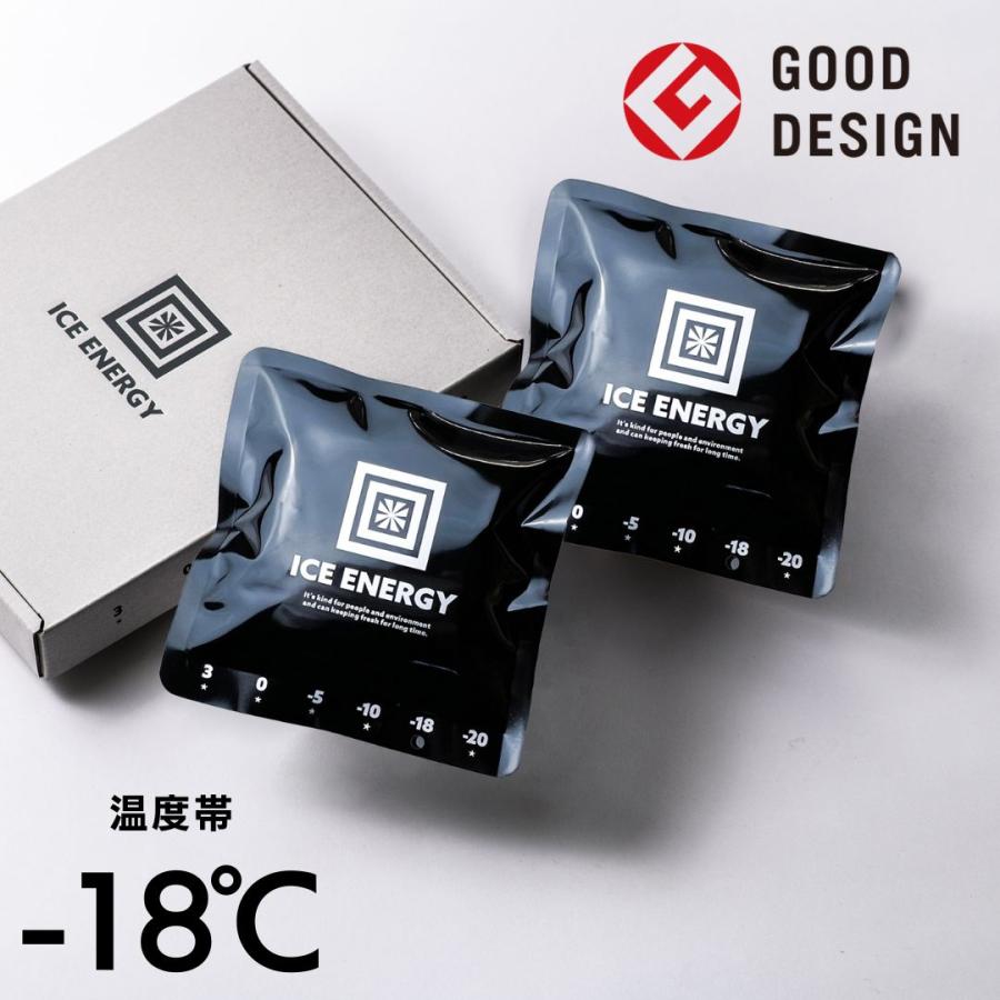 保冷剤 長時間  アイスエナジー アルミソフトケース 300g＜-18℃＞2個セット ソフトケース グッドデザイン賞 レジャー アウトドア BBQ キャンプ 日本製 | ブランド登録なし