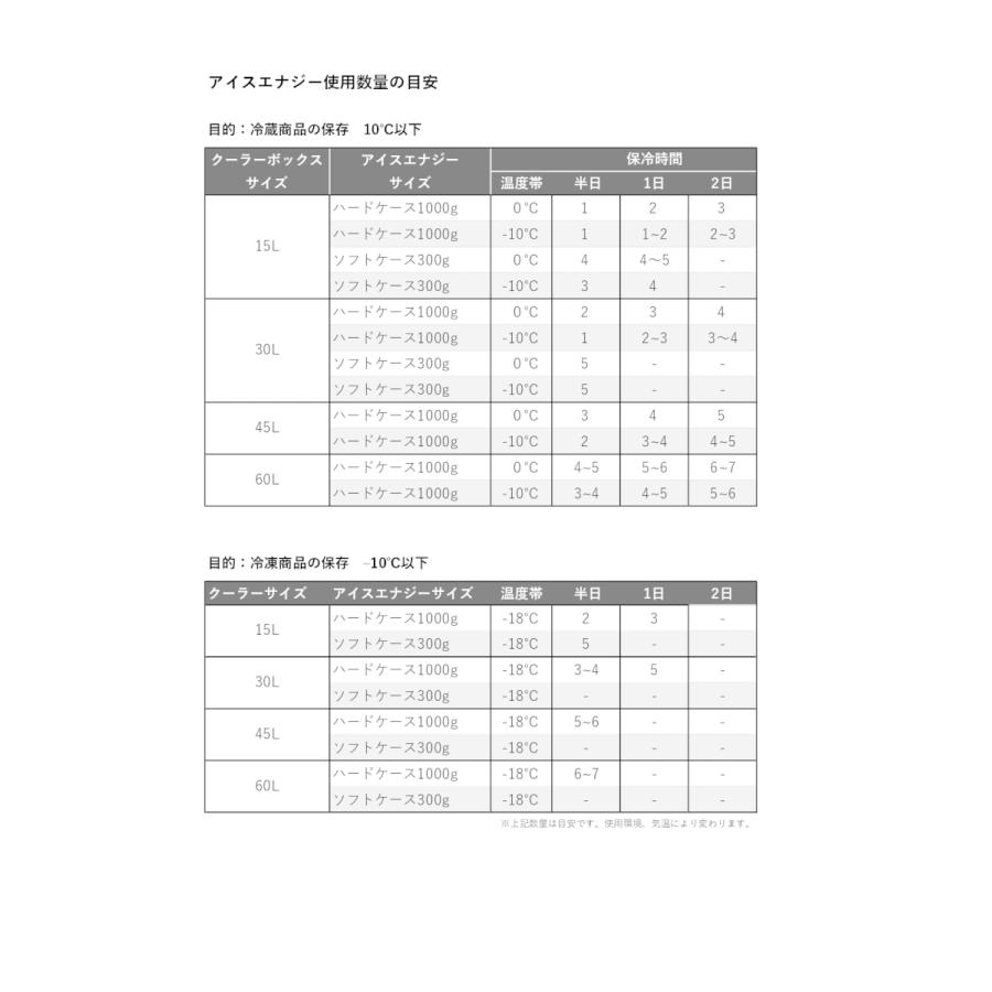 保冷剤 長時間  アイスエナジー アルミソフトケース 300g＜-18℃＞2個セット ソフトケース グッドデザイン賞 レジャー アウトドア BBQ キャンプ 日本製 | ブランド登録なし | 03