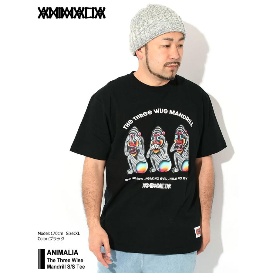 アニマリア Tシャツ 半袖 ANIMALIA メンズ ザ スリー ワイズ マンドリル ( The Three Wise Mandrill S/S Tee カットソー トップス AN24SP-TE07 )[M便 1/1]｜icefield｜04