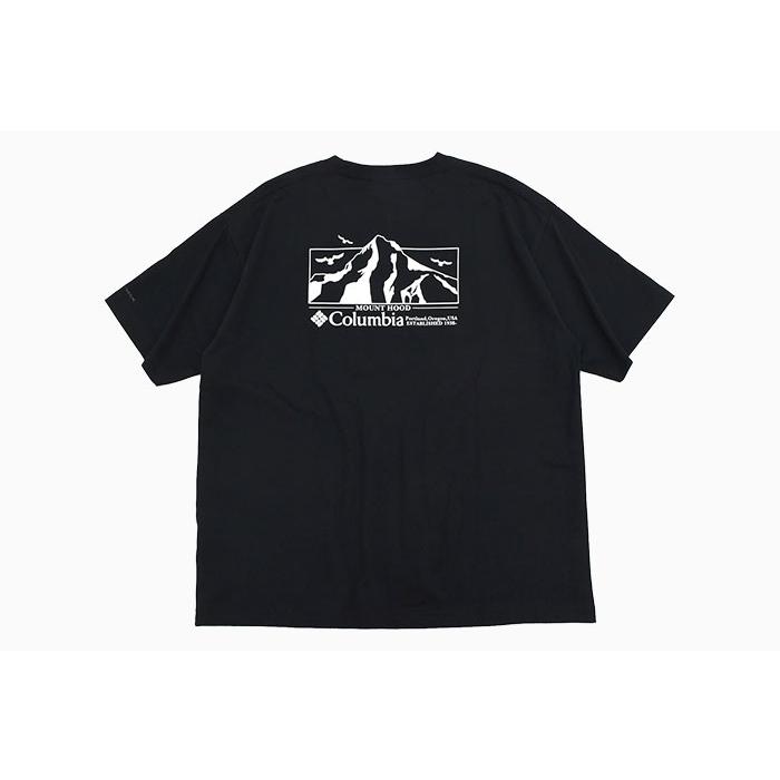 Columbia（コロンビア） Tシャツ 半袖 メンズ ロマビスタ グラフィック